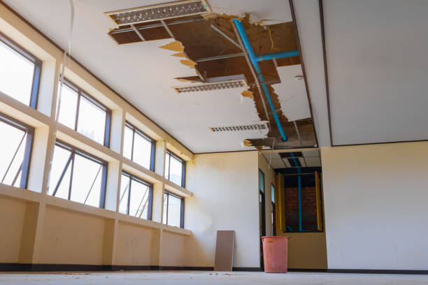 Best 24/7 water damage repair  in Ridgway, PA