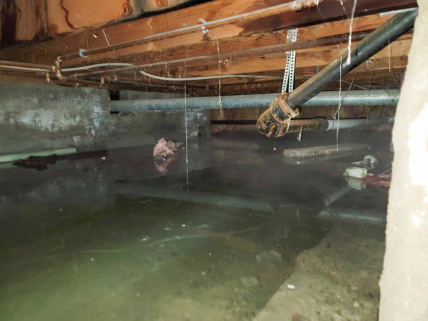 Professional Water damage restoration in Ridgway, PA