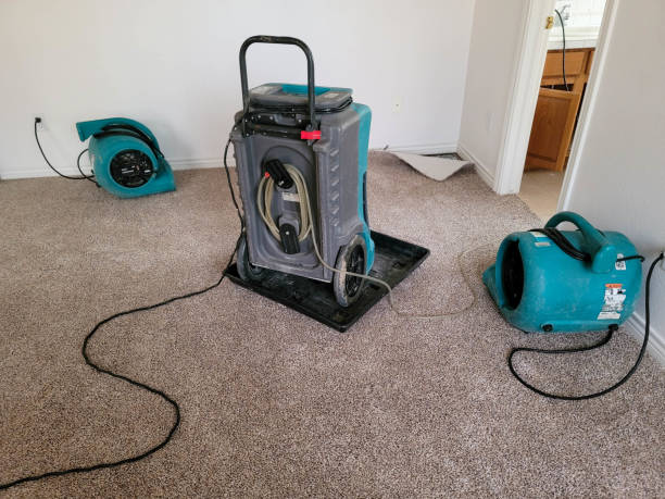 Best Local water damage restoration  in Ridgway, PA