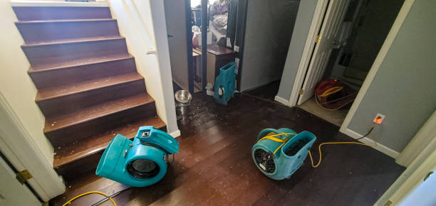 Best Mold removal after water damage  in Ridgway, PA