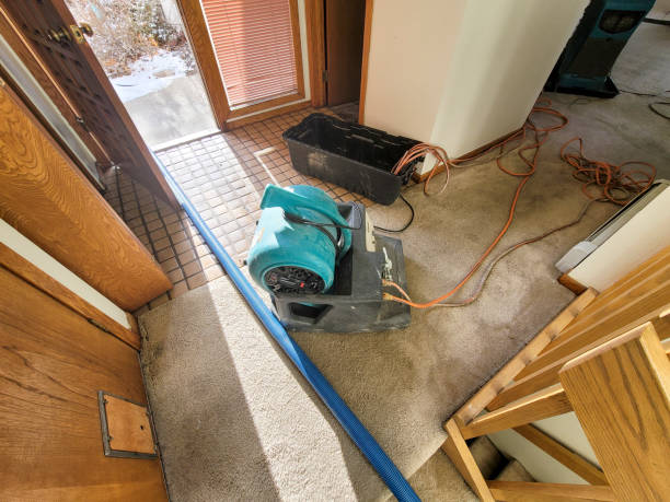 Best Basement water damage restoration  in Ridgway, PA