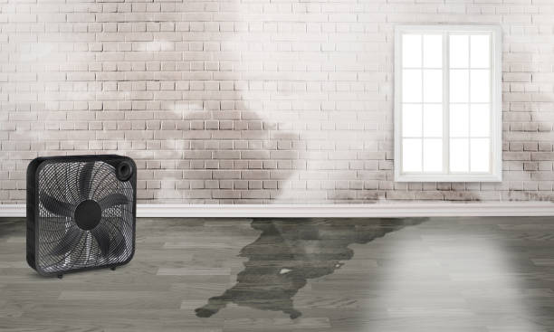 Best Water damage mitigation services  in Ridgway, PA