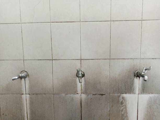 Best Water damage restoration experts  in Ridgway, PA