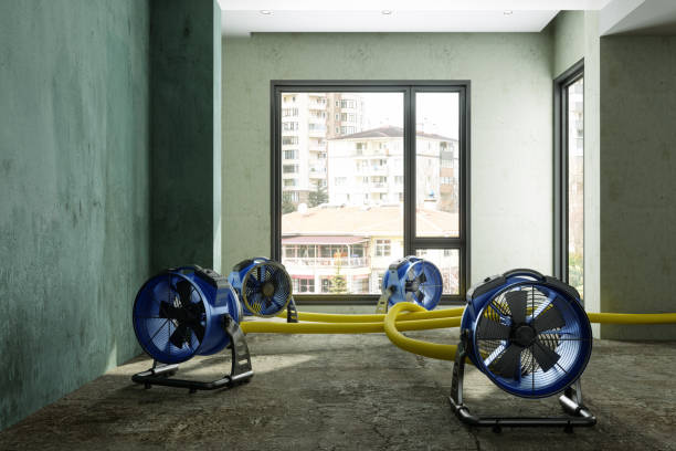 Best Fire Damage Restoration  in Ridgway, PA